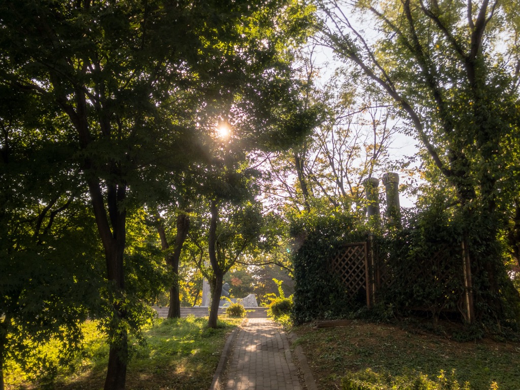 글과 관계없는 사진