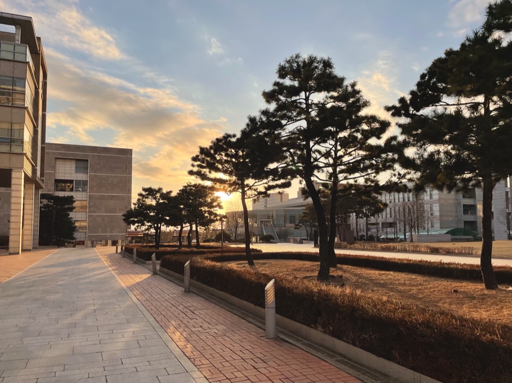 campus-in-twilight.jpg